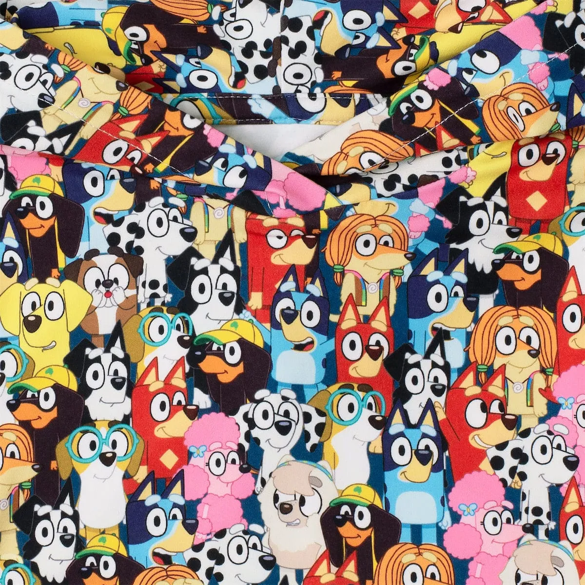 Bluey "Primary Pals" – Preschooler Performance Hoodie