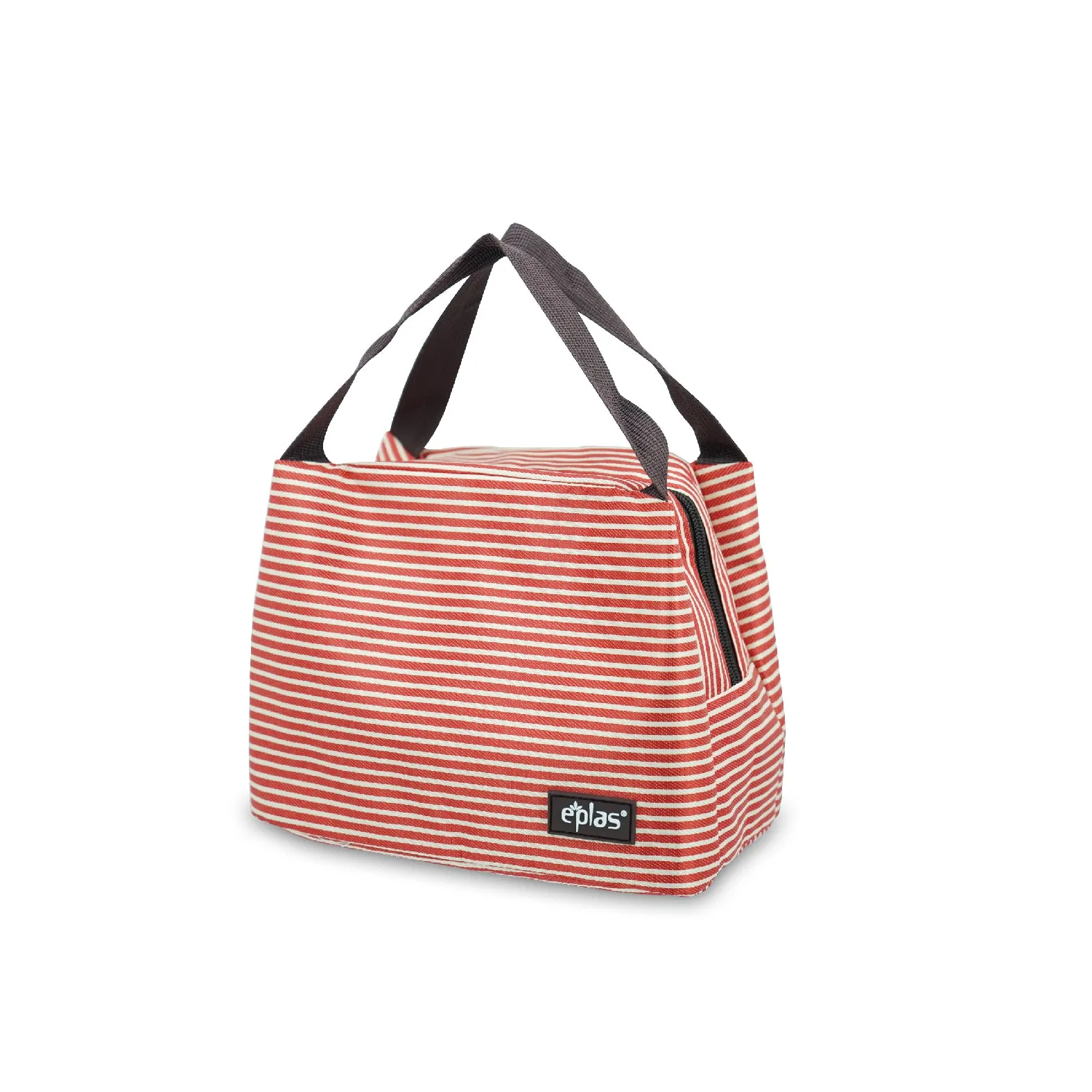 Eplas (EG-D) Insulated Lunch/Tote Bag