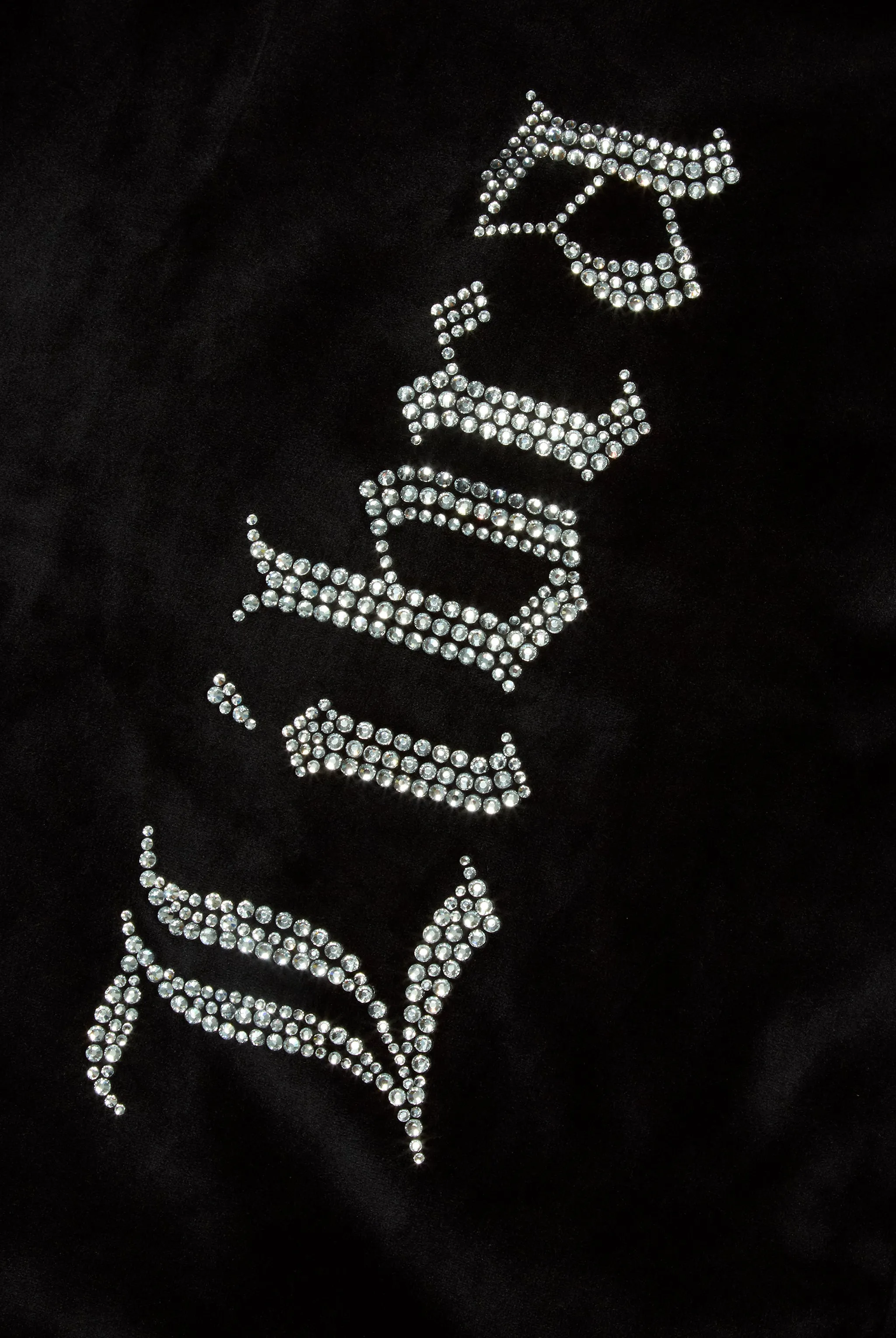 'LIBRA' BLACK DIAMANTÉ VELOUR ZIP-THROUGH HOODIE