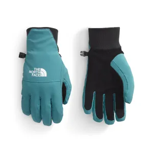 The North Face NF0A888R Women's Shelbe Raschel Etip Glove