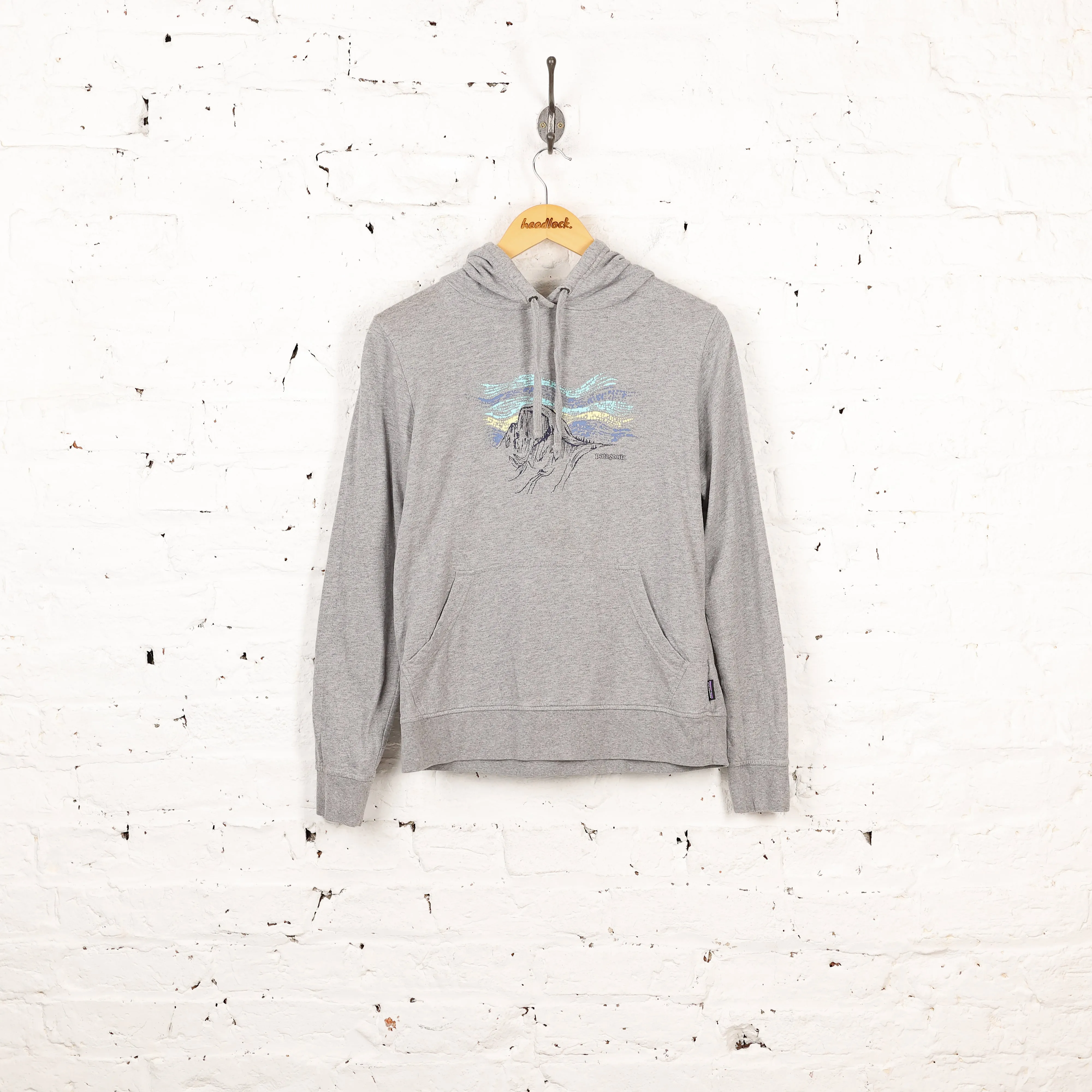 Women's Patagonia Hoodie - Grey - Womens S